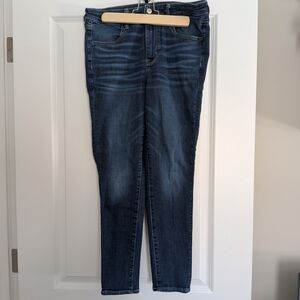 American Eagle Outfitters Dark Indigo Skinny Jeans